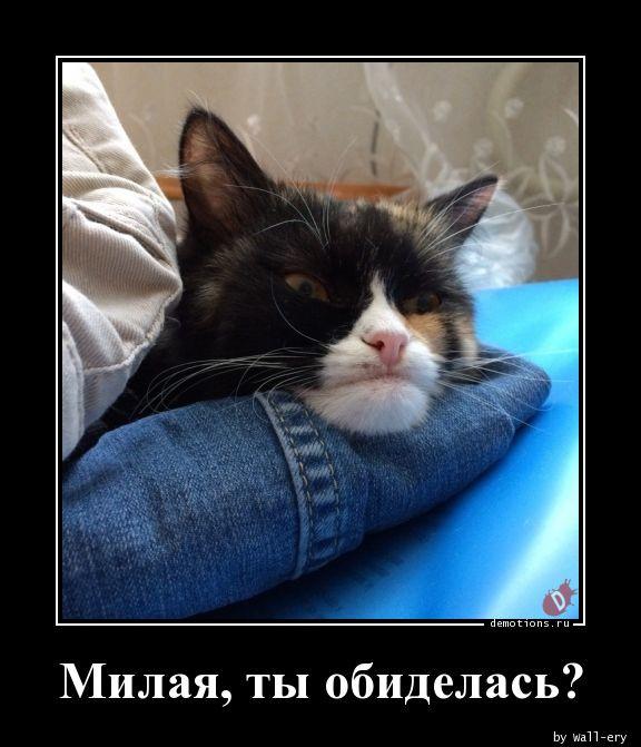 
			Демотиваторы №3692 (15 фото)