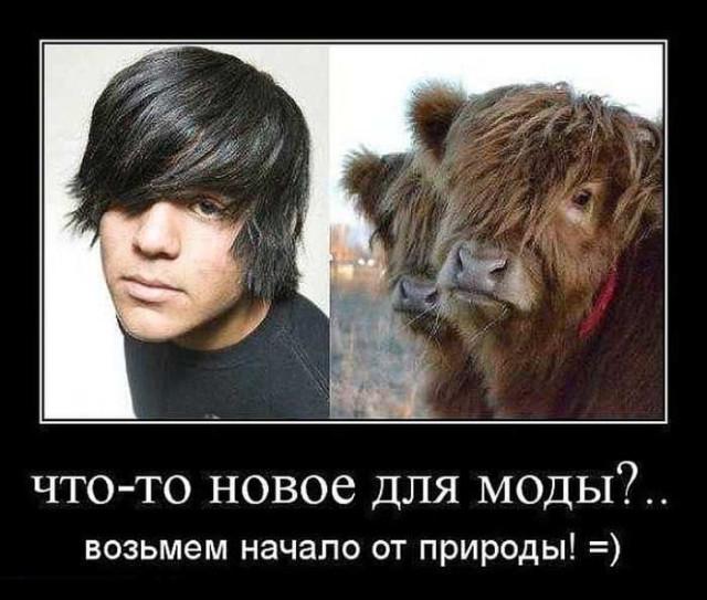 
			Демотиваторы №3689 (20 фото)
