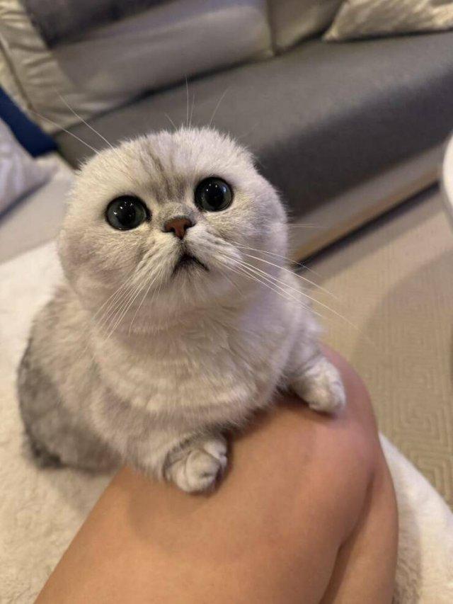 Подборка прикольных фото №3741