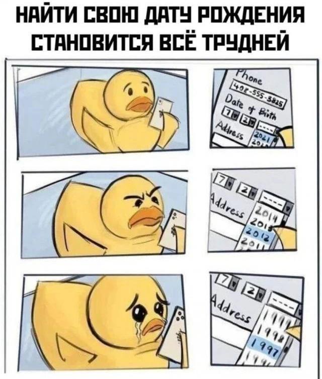 Комиксы для позитива: «Сфоткай, чтоб не было живота…»