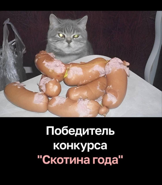 Мем №1534560