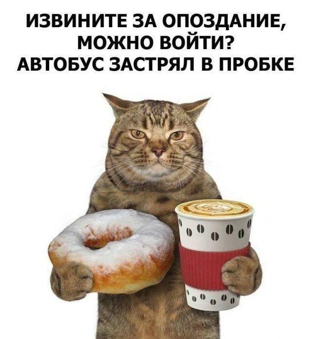 Подборка прикольных фото №3728