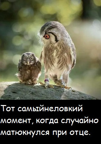 Мем №1533263