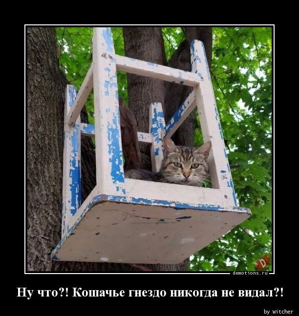 
			Демотиваторы №3679 (20 фото)