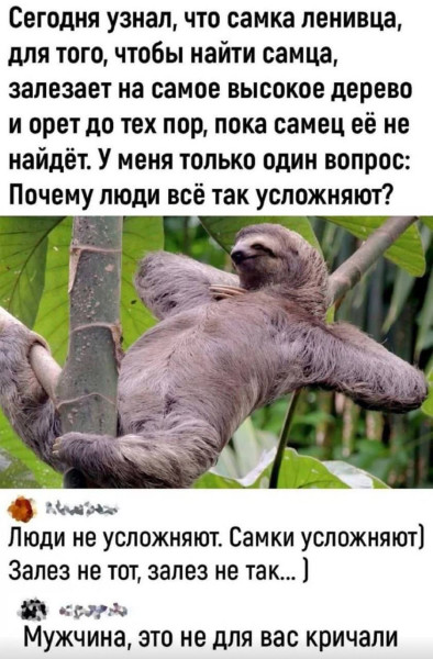 Мем №1532572