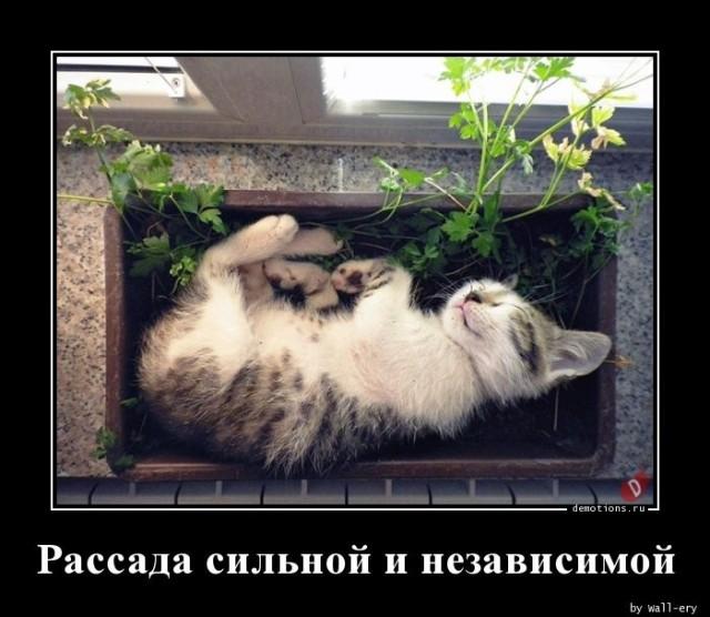 
			Демотиваторы №3675 (15 фото)