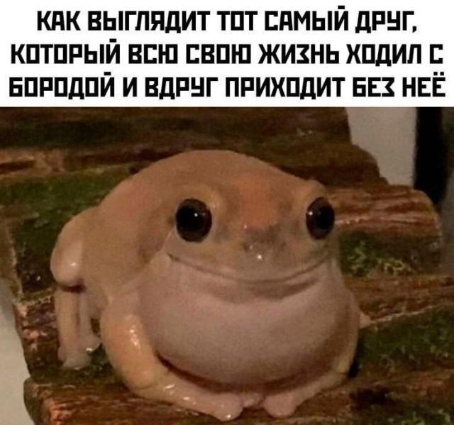 Подборка прикольных фото №3730