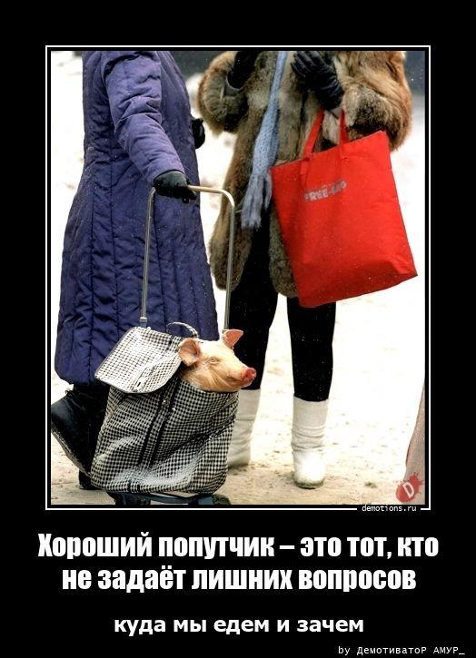 
			Демотиваторы №3676 (20 фото)