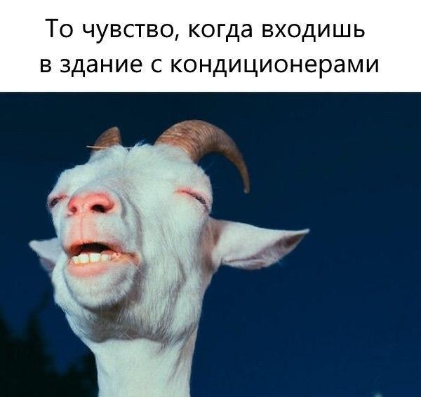 Подборка прикольных фото №3745