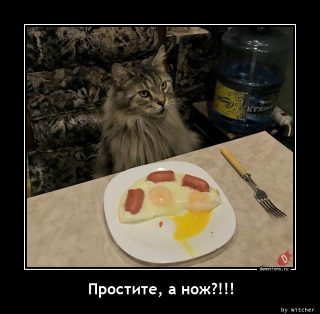 
			Демотиваторы №3696 (17 фото)