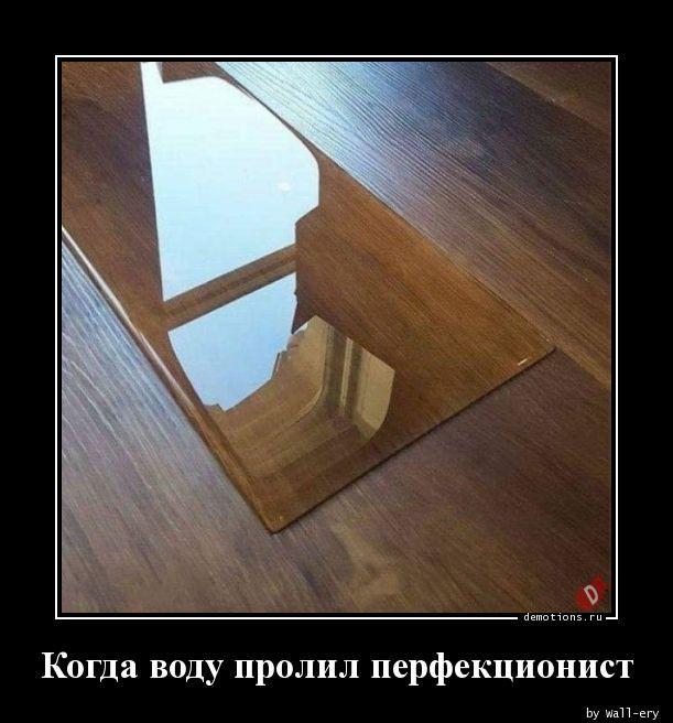 
			Демотиваторы №3695 (17 фото)