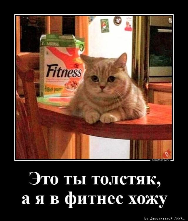 
			Демотиваторы №3675 (15 фото)