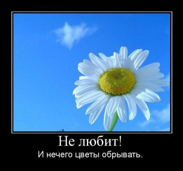 
			Демотиваторы №3689 (20 фото)