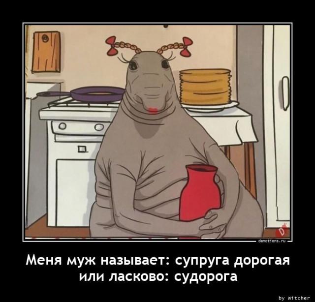 
			Демотиваторы №3695 (17 фото)