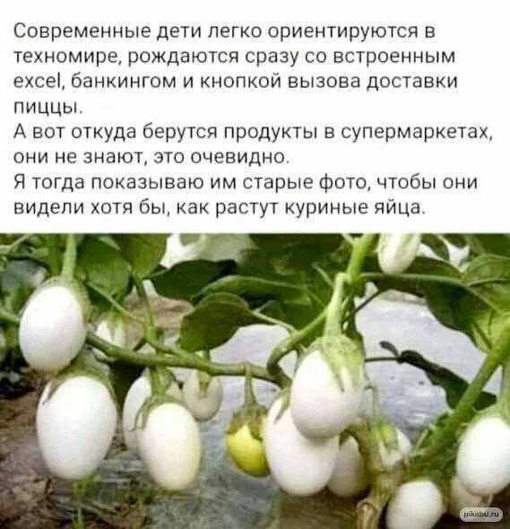 Мем №1532761