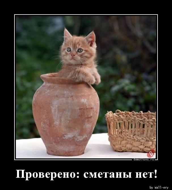 
			Демотиваторы №3684 (15 фото)