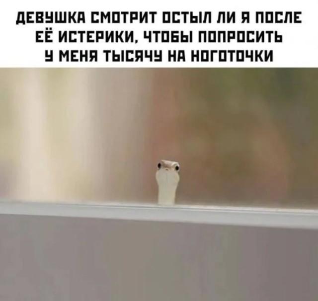 Юмор для тех, кто уже повзрослел и понял, что «выходные» — это просто два дня на уборку