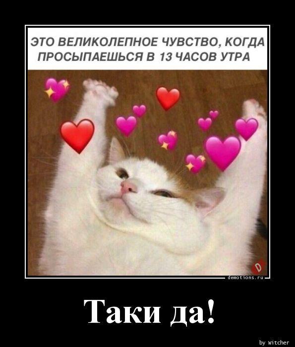 
			Демотиваторы №3695 (17 фото)