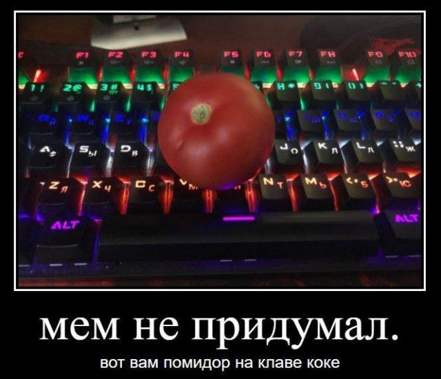 
			Демотиваторы №3678 (20 фото)