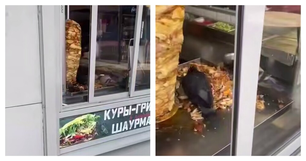 
        Голуби полакомились мясом для шаурмы в ларьке    