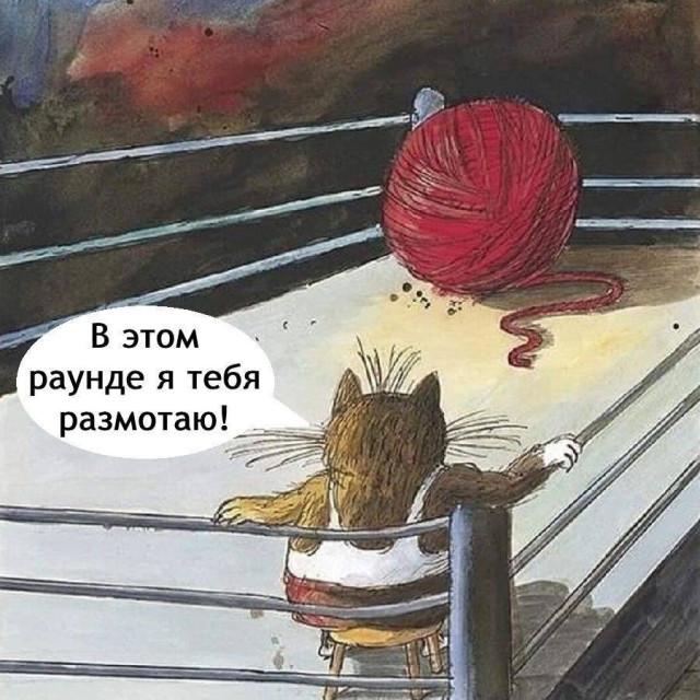 Комиксы для позитива: «Сфоткай, чтоб не было живота…»