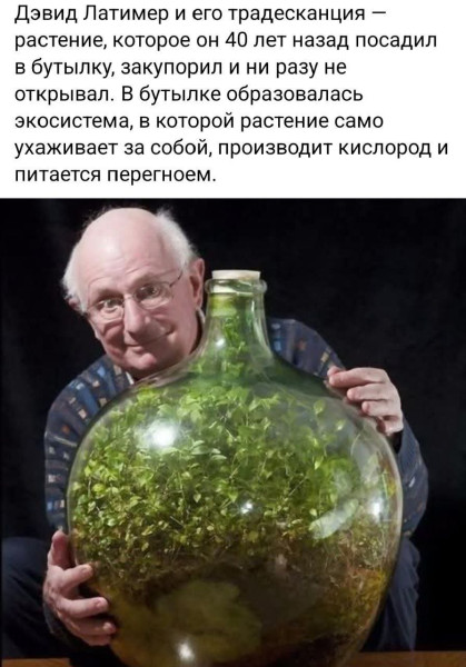 Мем №1536929