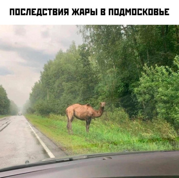 Мем №1535083
