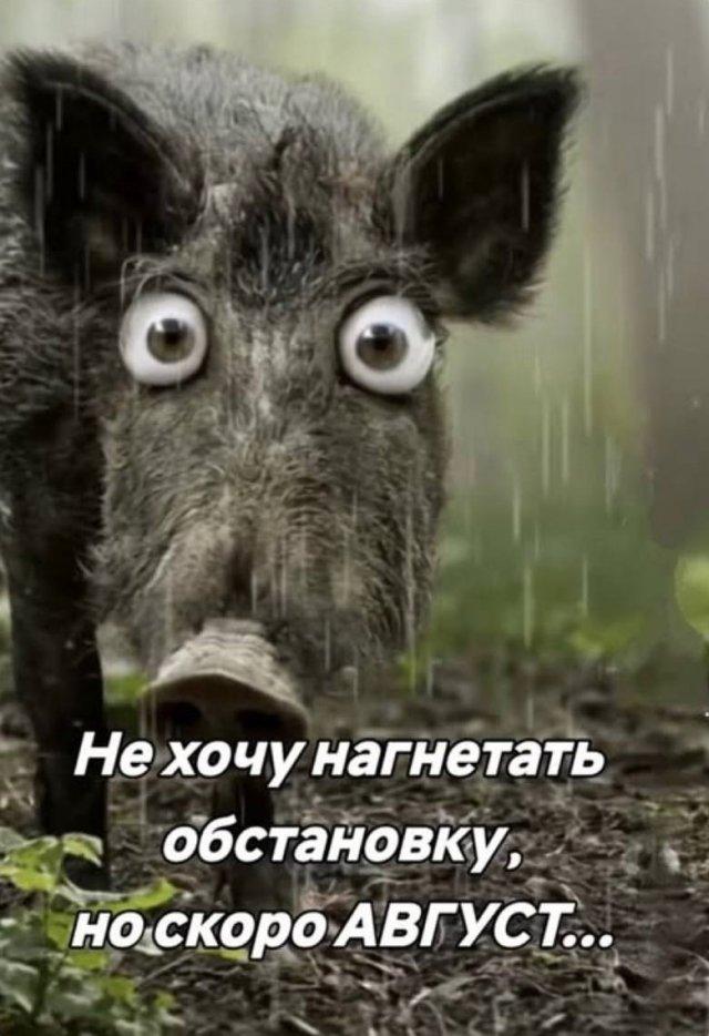 Подборка прикольных фото №3731