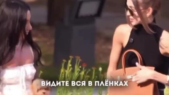 
        В московском парке дамочка обменяла свою собачку на сумку за ₽2 млн    