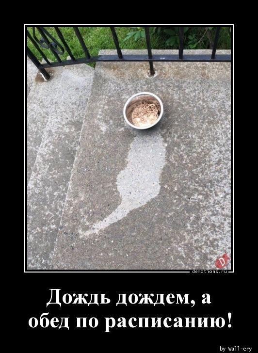 
			Демотиваторы №3677 (20 фото)