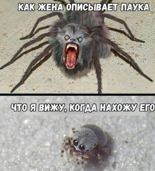 Мем №1533260