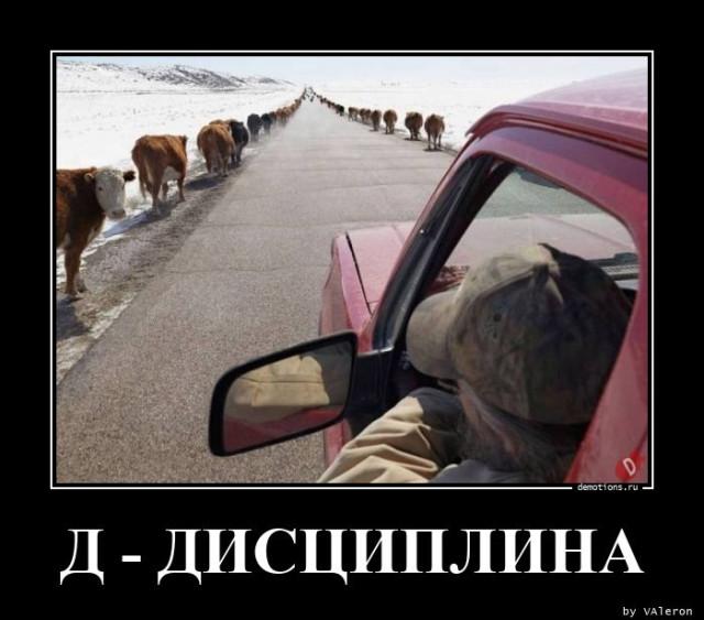 
			Демотиваторы №3694 (15 фото)
