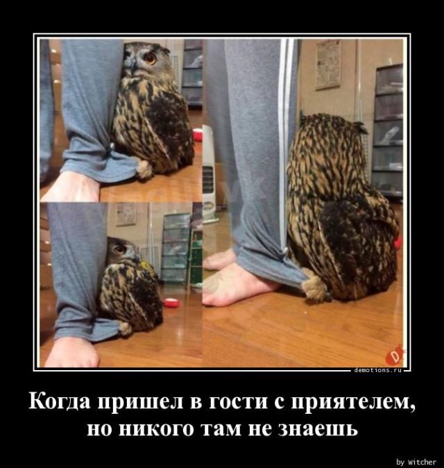 
			Демотиваторы №3687 (18 фото)