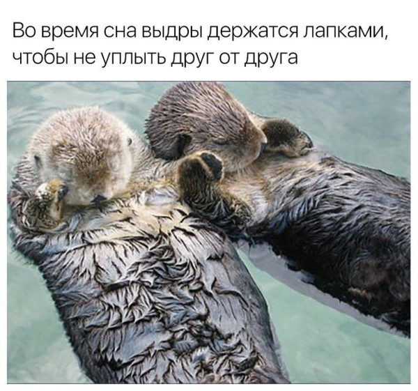 Мем №1534906