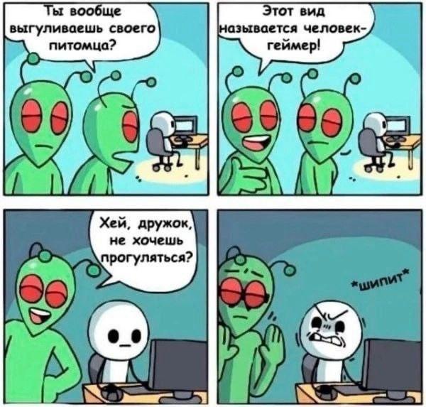 Комиксы для позитива: «Сфоткай, чтоб не было живота…»