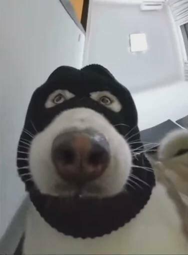 Подборка прикольных фото №3729