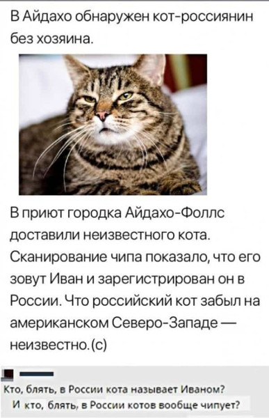 Мем №1532375