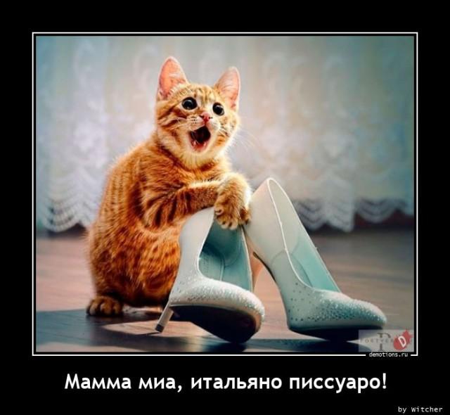 
			Демотиваторы №3683 (15 фото)