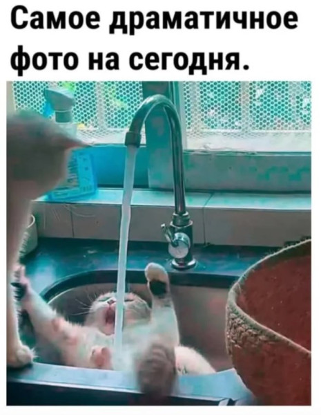 Мем №1534140