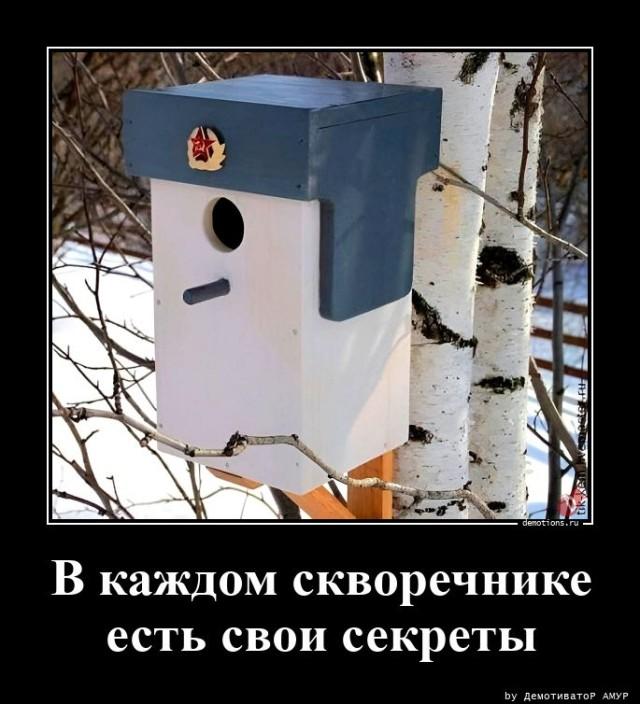 
			Демотиваторы №3675 (15 фото)