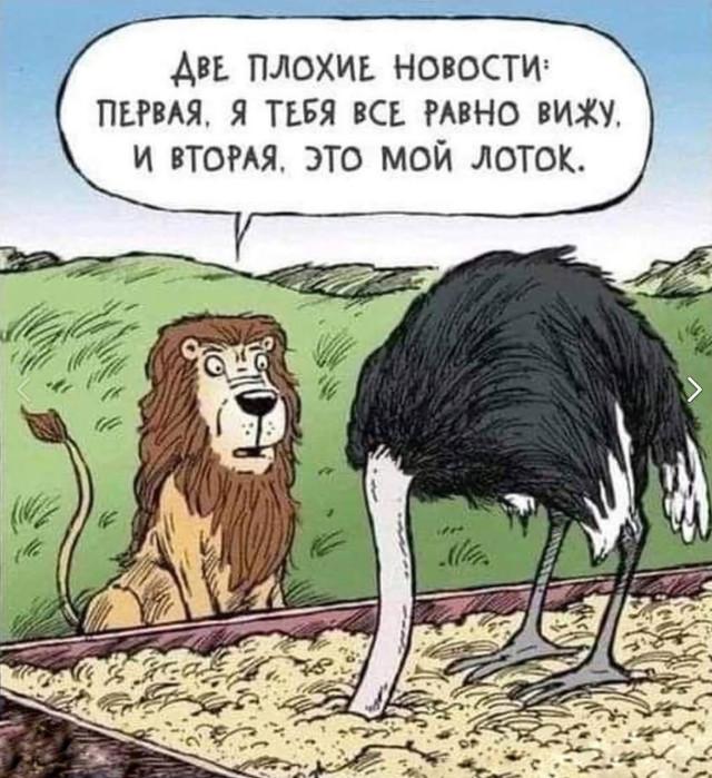 Комиксы для позитива: «Сфоткай, чтоб не было живота…»