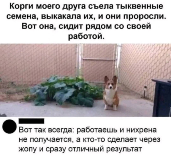 Мем №1533645