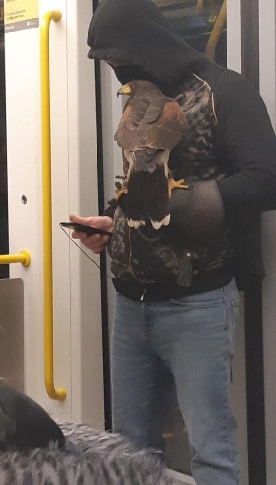 Метро чудачеств