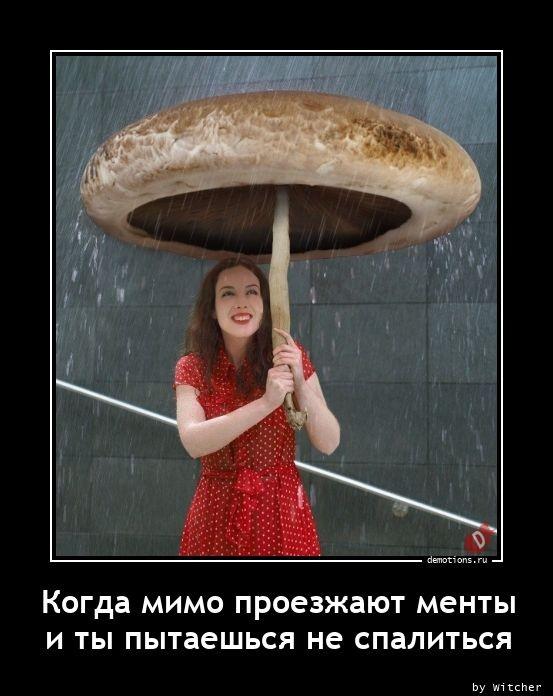 
			Демотиваторы №3679 (20 фото)