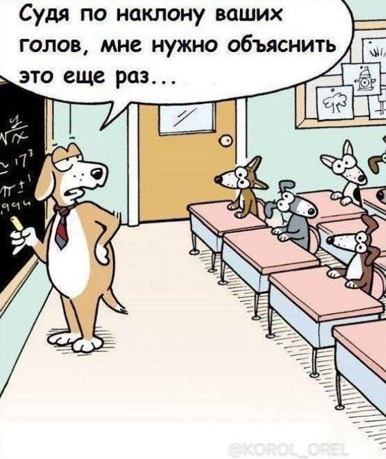 Комиксы для позитива: «Сфоткай, чтоб не было живота…»