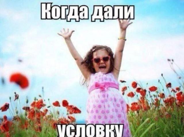Юмор для тех, кто уже повзрослел и понял, что «выходные» — это просто два дня на уборку