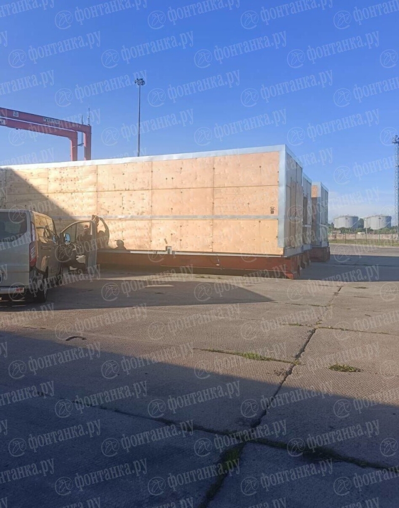 
        Кот просидел неделю без еды и воды в контейнере грузового судна    