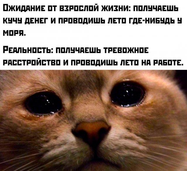 Подборка прикольных фото №3740