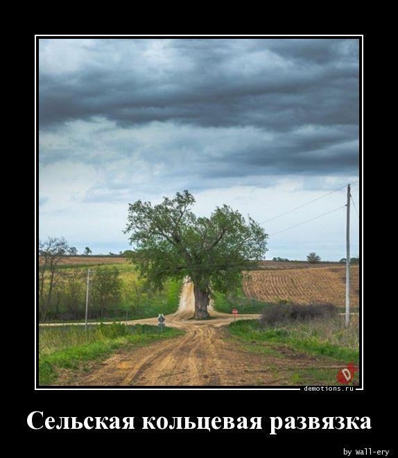 
			Демотиваторы №3687 (18 фото)