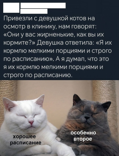 Мем №1533975